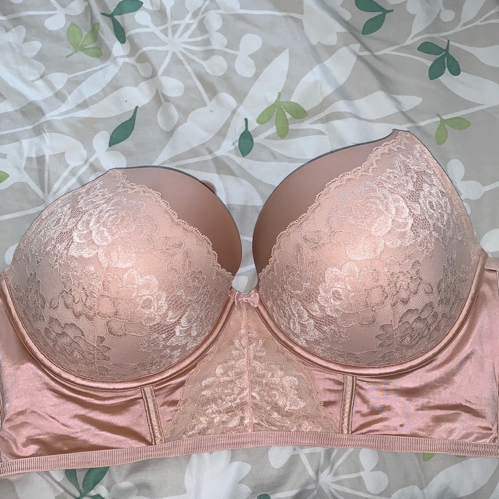 Torrid Long Line Plunge bra